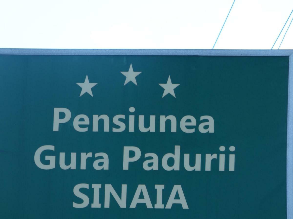 Gura Padurii Hotel Sinaia Exterior foto